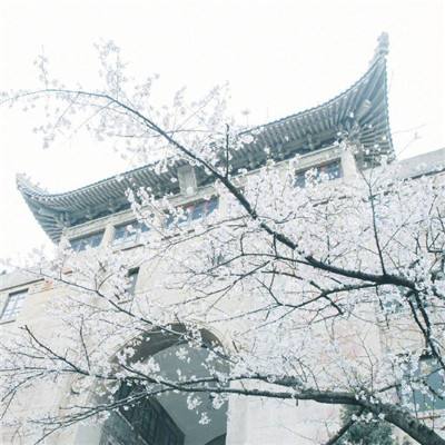 从“跟跑”到“领跑”：国产超快...